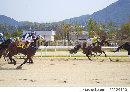 賽馬，體育場，賽馬公園，馬 33124130
