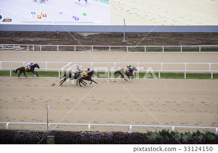 賽馬，體育場，賽馬公園 33124150