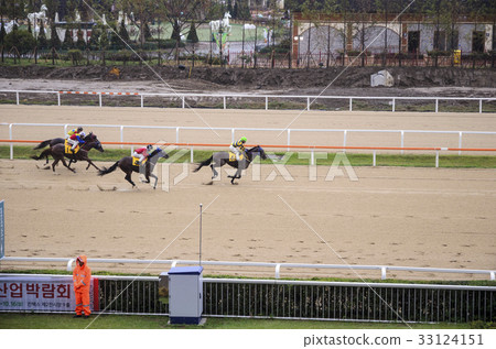 Horse racing, stadium, horse racing park 33124151