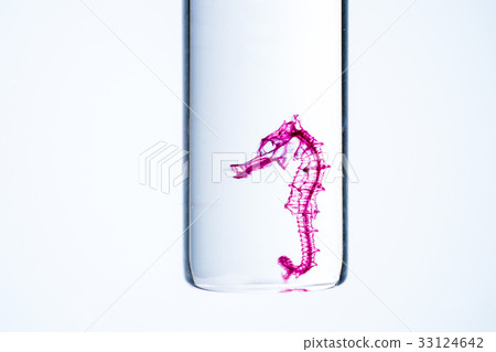 Transparent skeletal sample 33124642