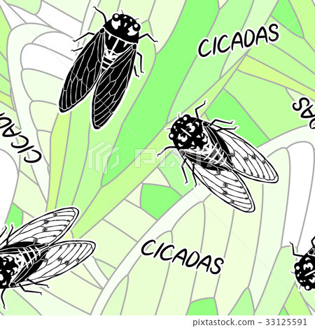 半無縫模式（綠色） 33125591