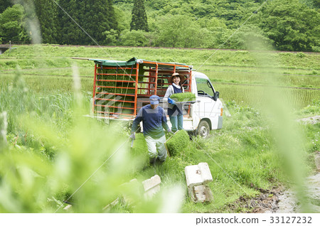 Men and women preparing to plant rice 33127232