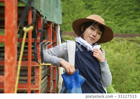 Farming woman rice planting break Farming woman rice planting break 33127313