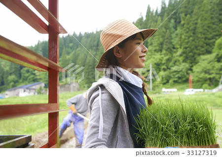 準備的婦女種植米 33127319
