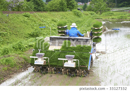 A man driving a rice planting plant 33127332