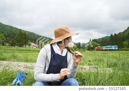 Agriculture women's break dandelion fluff Agriculture women's break dandelion fluff 33127385