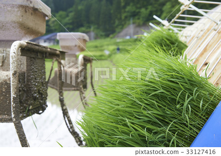 Rice transplanter 33127416