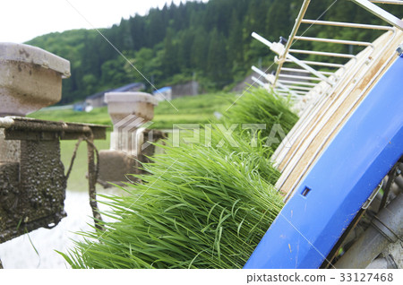 Rice transplanter 33127468