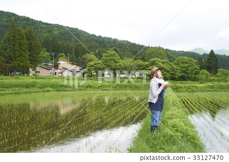 Farming woman rice planting break 33127470