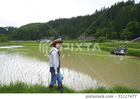 Farming woman rice planting break 33127477