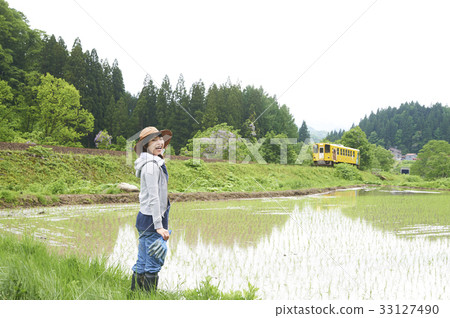 Farming woman rice planting break 33127490