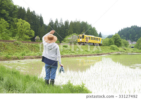 Farming woman rice planting break 33127492