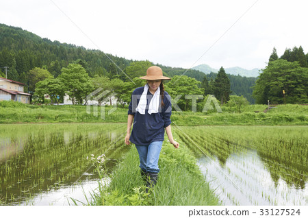 Farming woman rice planting break Farming woman rice planting break 33127524