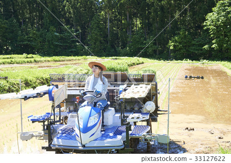 Woman driving rice planter 33127622