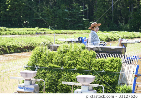 Woman driving rice planter 33127626