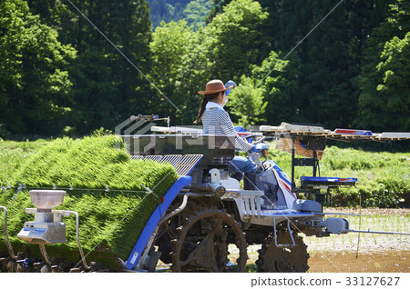 Woman driving rice planter 33127627