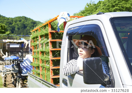 駕駛卡車和人運載的幼木的婦女 33127628