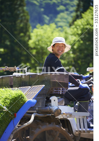 Man driving rice planter 33127635