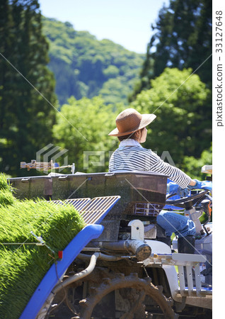 Woman driving rice planter 33127648