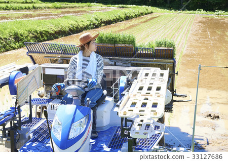 Woman driving rice planter Woman driving rice planter 33127686