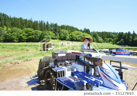 Woman driving rice planter 33127693