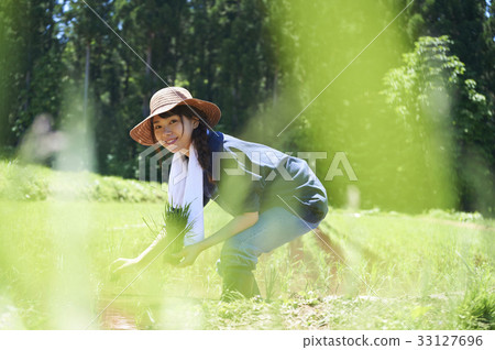 A woman planting rice 33127696