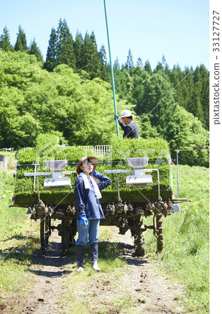 Preparation for rice planting 33127727