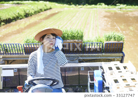 Woman driving rice planter 33127747