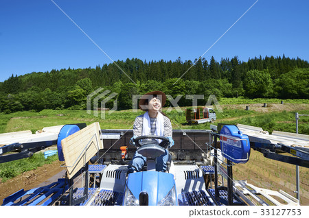Woman driving rice planter 33127753