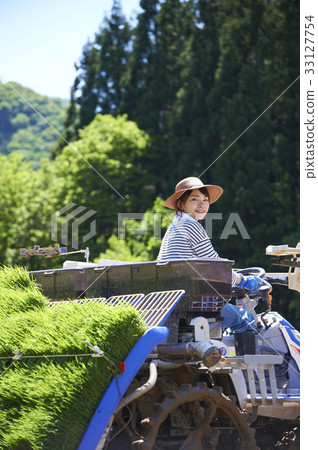 Woman driving rice planter 33127754