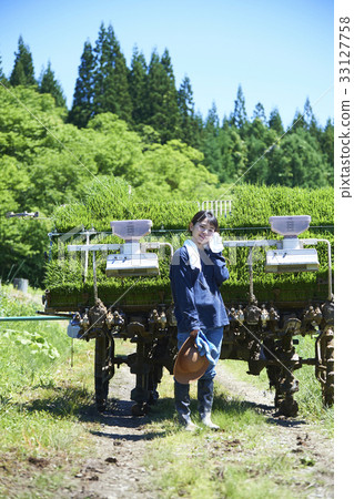 Rice planter woman portrait 33127758