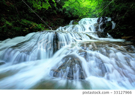 Falls of Asama Highland Fish Stop Falls of Asama Highland Fish Stop 33127966