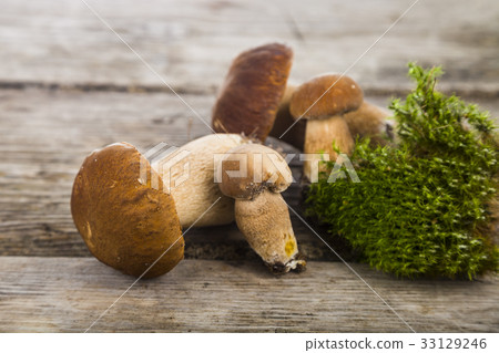 Raw mushrooms on a wooden table. Boletus edulis. 33129246