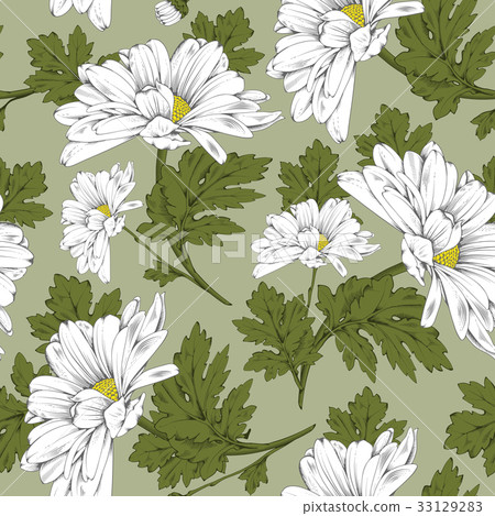 Floral seamless pattern - daisy 33129283