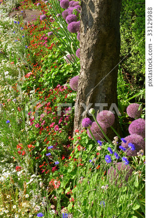 Hill green park meeting place where national city greening yokohama fair, port is visible 33129988