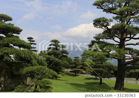 Sakurajima wishing from Senshin Garden 33130363