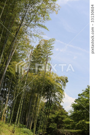 Kagoshima-Konan Takebayashi 33130684