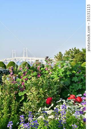 國家城市綠化橫濱交易會,港口可見的山綠色公園會場 國家城市綠化橫濱交易會,港口可見的山綠色公園會場 33131115