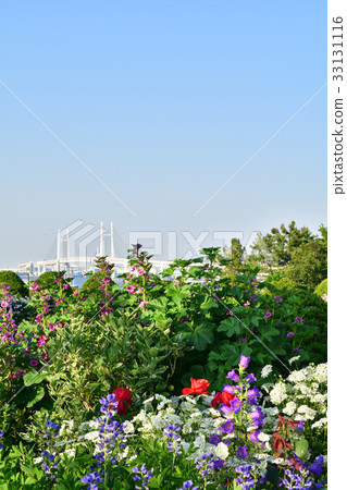 國家城市綠化橫濱交易會,港口可見的山綠色公園會場 國家城市綠化橫濱交易會,港口可見的山綠色公園會場 33131116