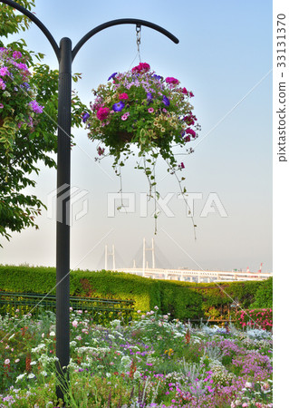 Hill green park meeting place where national city greening yokohama fair, port is visible 33131370