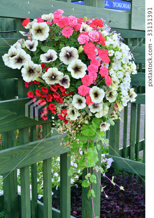 Hill green park meeting place where national city greening yokohama fair, port is visible 33131391