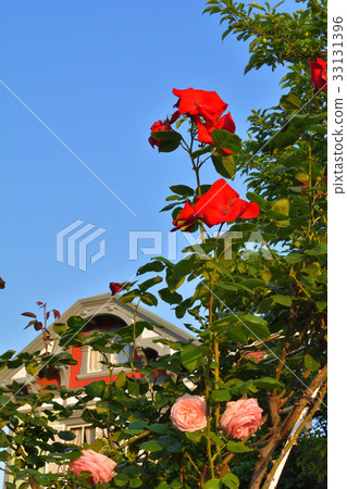 Yokohama - Yamate 33131396