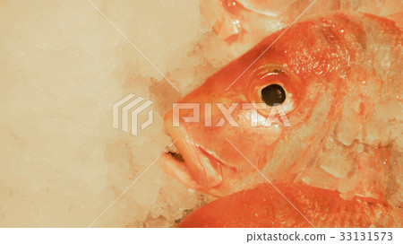 Red dragonfly 33131573