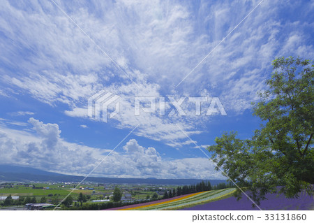 富良野的土地 富良野的土地 33131860