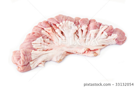 internal organs of pig. internal organs of pig. 33132054