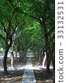 林蔭大道 33132531