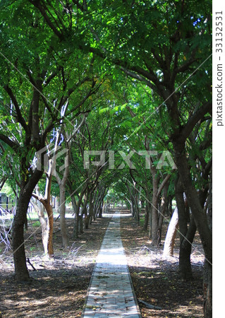 林蔭大道 林蔭大道 33132531