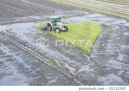 農業 33132565
