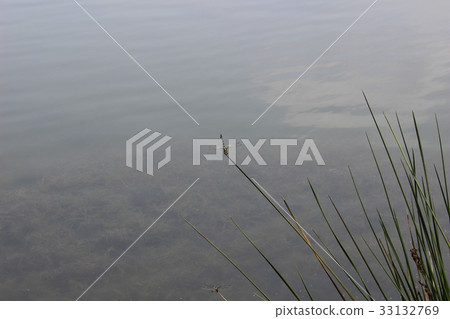 Taiwan Uchiyayama Taiwan Uchiyayama 33132769