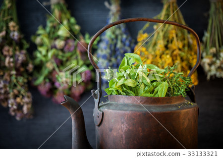 Tea kettle full of herbs. Hanging medicinal herbs. Tea kettle full of herbs. Hanging medicinal herbs. 33133321